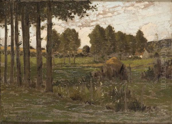 Paisaje - view 1