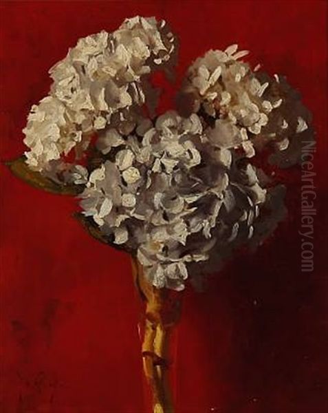 Still Life - view 1