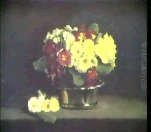 Polyanthus Polyanthus