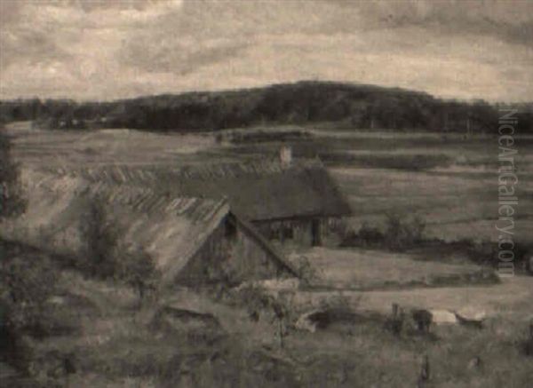 Gravejrslandskab Fra Ostroo - view 1