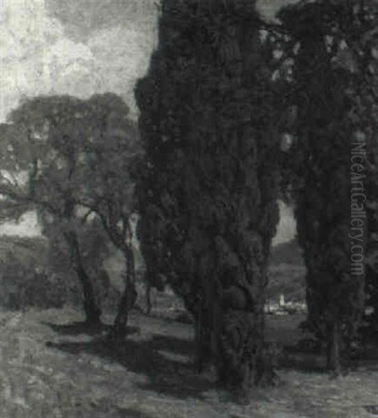 Cypress Trees - view 1