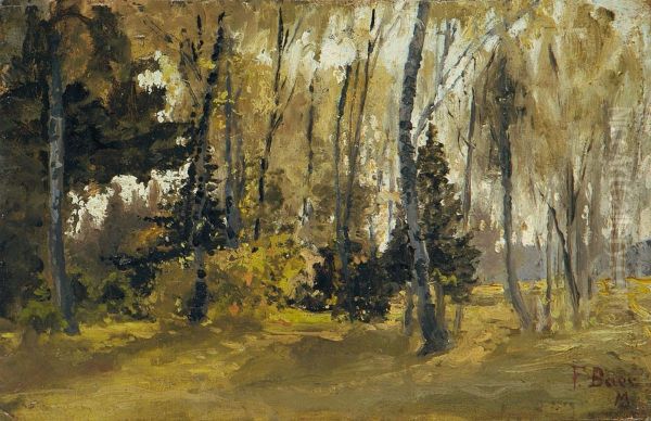 Waldinneres - view 1