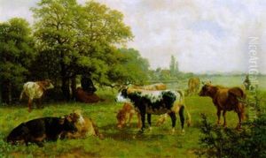 Kuhe Auf Der Weide Kuhe Auf Der Weide