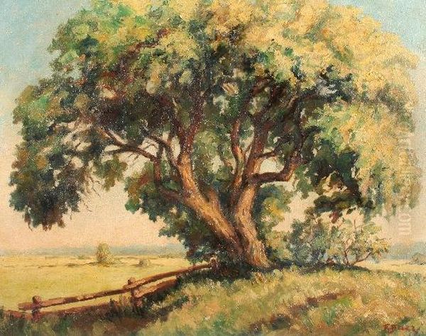 Alter Baum In Landschaft - view 1