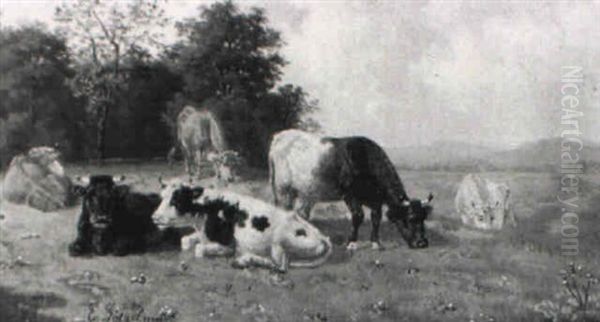 Ruhende Kuhe Auf Der Weide - view 1