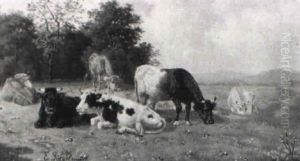 Ruhende Kuhe Auf Der Weide Ruhende Kuhe Auf Der Weide