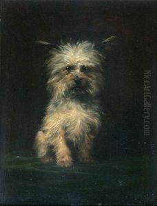 Portrait De Chien