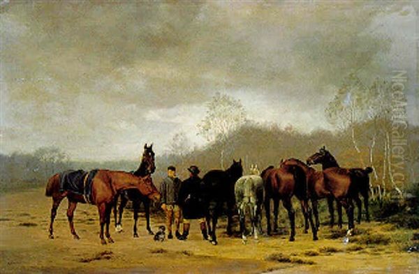 A Gathering In The Forest - view 1