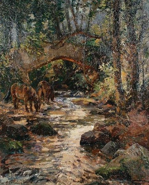 Packhorse Bridge On The Horner Water, Exmoor - view 1