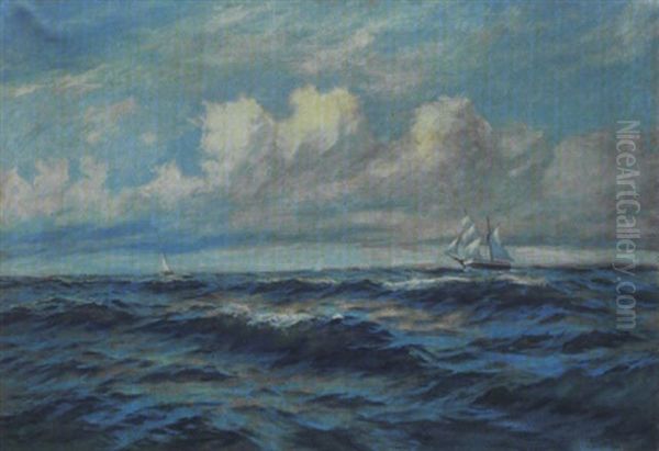 Marine - view 1