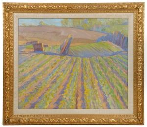 The Lettuce Field