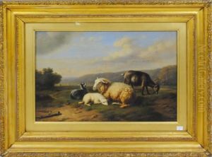 Moutons Moutons