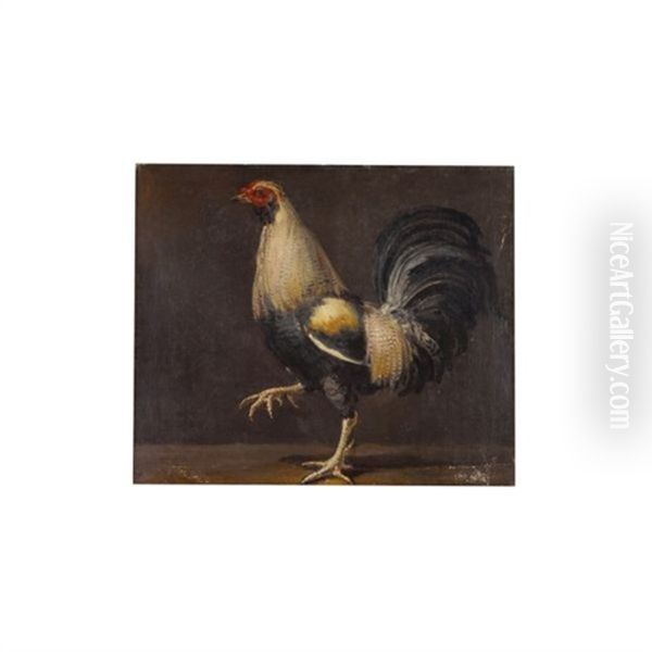 Un Coq - view 1