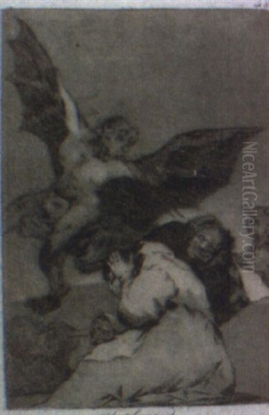Soplones, Pl.48 - view 1