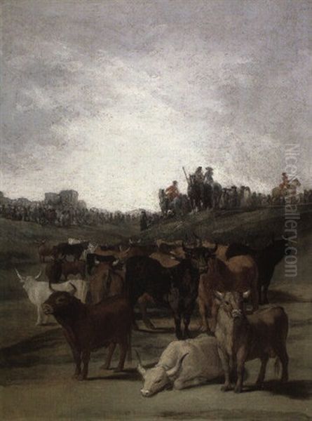 Sorting The Bulls - view 1