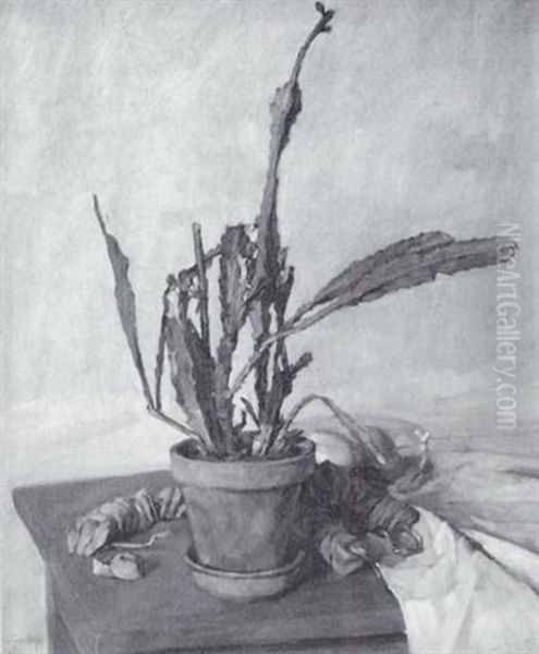 Stilleben Mit Kaktus - view 1