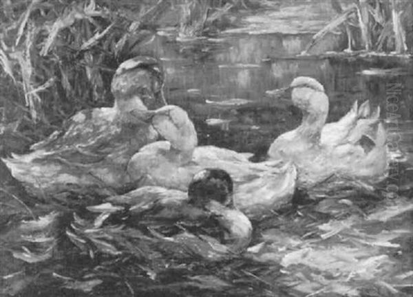 Teich Mit Enten - view 1