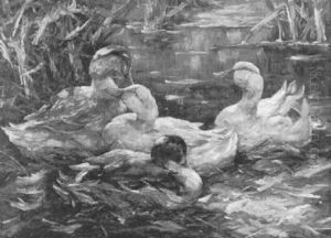 Teich Mit Enten