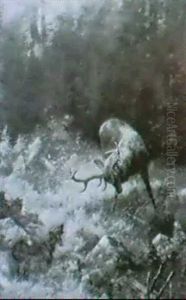Jagdstuck.vor Fichtenschonung Verbellt Ein Jagdteckel Einen Zwolfender by Wilhelm Graebhein