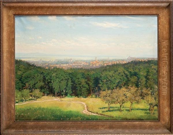 Las Kiwercki (widok Lucka) - view 1