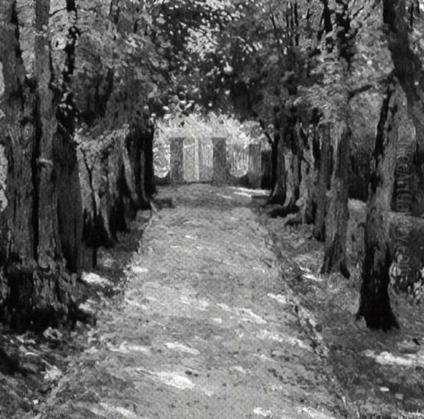 Tree Lined Path - view 1