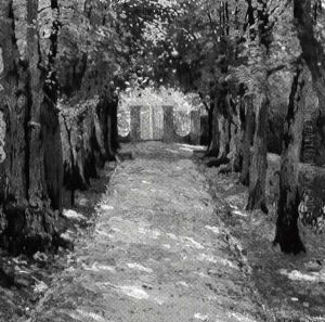 Tree Lined Path by Paul Grabwinkler