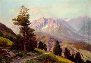 Im Hochgebirge, Baumgrenze