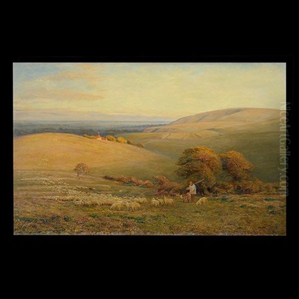 Untitled - Herding Sheep - view 1