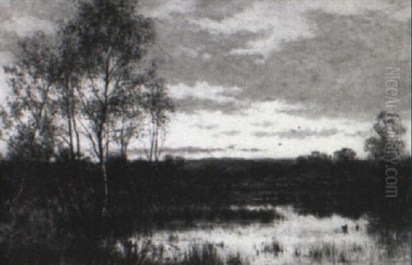 Landscape At Dusk - view 1