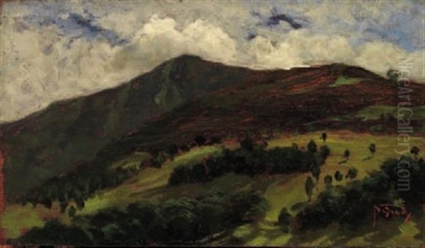 Paesaggio - view 1