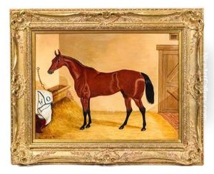 Racehorse, 1891
