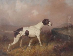 An English Pointer