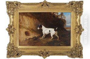 A Terrier Rabbiting by Colin Graeme