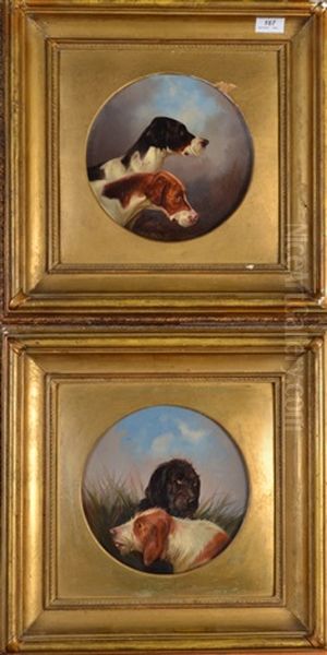 Hunting Dogs - view 1