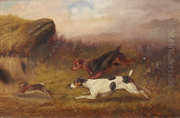 Rabbiting - view 1