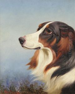 Head Study Of Collie Beside Heather by Colin Graeme