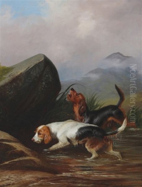 Dog Baying - view 1