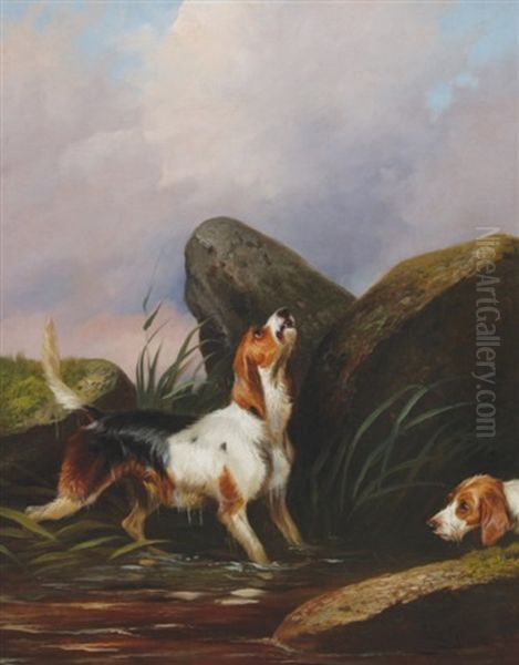 Two Dogs On The Scent - view 1