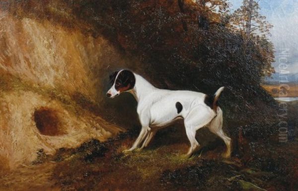 Terrier By A Fox Hole - view 1
