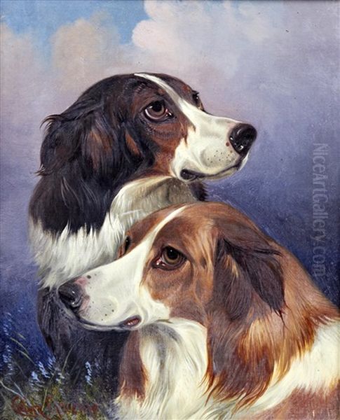 Heads Of Two Rough Collies - view 1