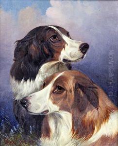 Heads Of Two Rough Collies