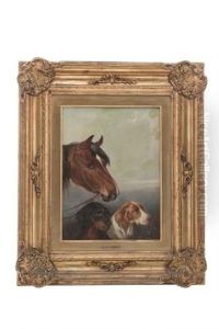 Caballo Y Perros De Caza