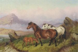 Ponies And A Foal In A Moorland Landscape