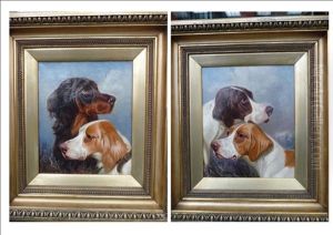 Gordon Setter And A Red And White Setter (+ Two Pointers; Pair)