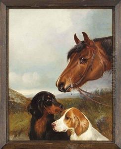 Companions