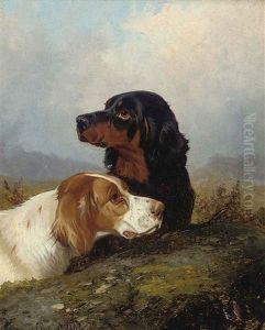 Setters