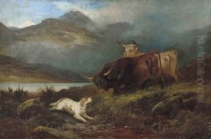 Highland Cattle And A Spaniel Beside A Loch