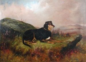 Laddie (study)