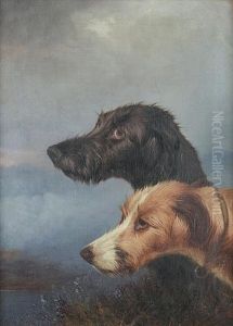 Two Deerhounds