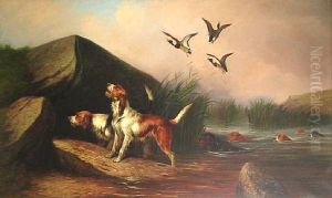 Otter Hounds And Ducks by Colin Graeme